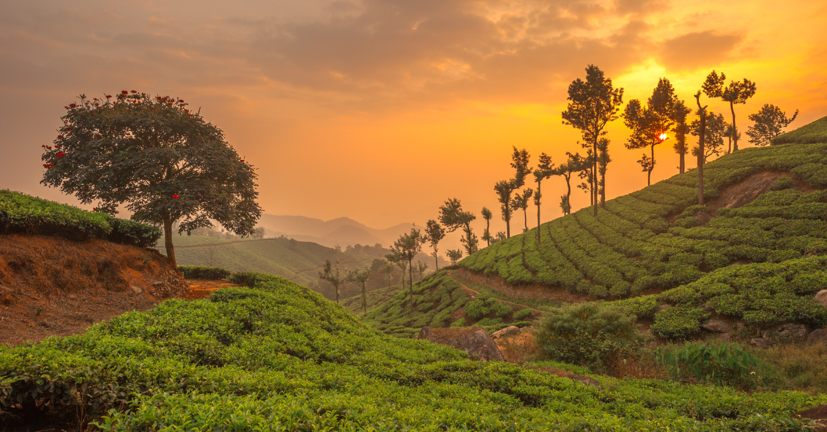 On Missions Work in Asian Sub-continent, with Clyde Davidson and Tom Roberts (Missions Talk, Ep. 16)