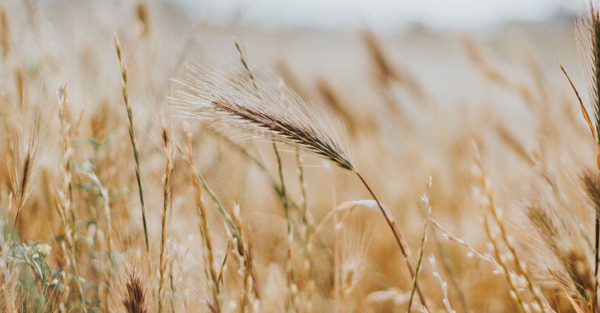 On the Missionary Calling, with Greg Gilbert and Bobby Jamieson (Missions Talk, Ep. 17)